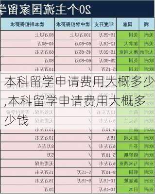 本科留学申请费用大概多少,本科留学申请费用大概多少钱