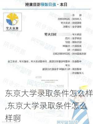 东京大学录取条件怎么样,东京大学录取条件怎么样啊