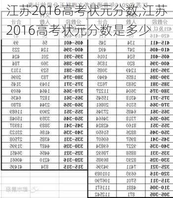 江苏2016高考状元分数,江苏2016高考状元分数是多少