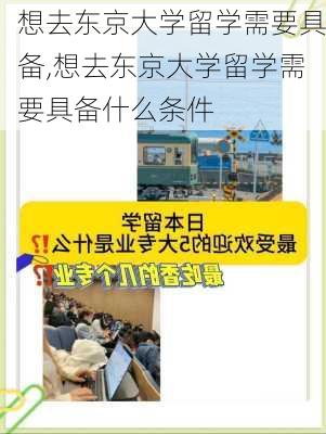 想去东京大学留学需要具备,想去东京大学留学需要具备什么条件