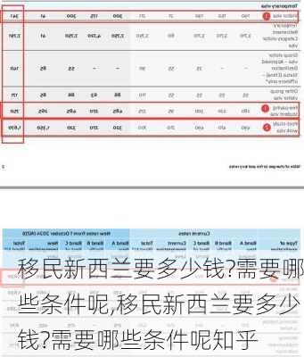 移民新西兰要多少钱?需要哪些条件呢,移民新西兰要多少钱?需要哪些条件呢知乎