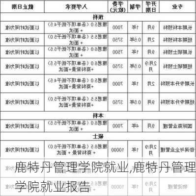 鹿特丹管理学院就业,鹿特丹管理学院就业报告