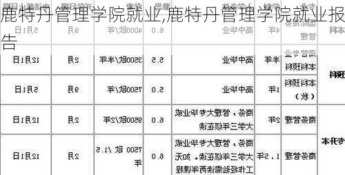 鹿特丹管理学院就业,鹿特丹管理学院就业报告