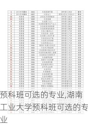 预科班可选的专业,湖南工业大学预科班可选的专业