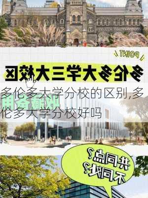 多伦多大学分校的区别,多伦多大学分校好吗