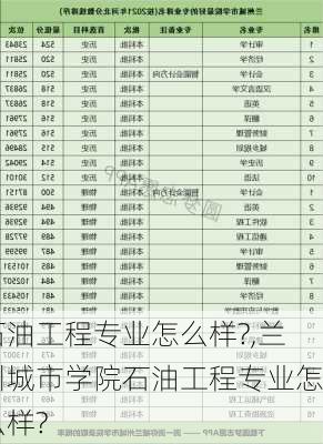 石油工程专业怎么样?,兰州城市学院石油工程专业怎么样?