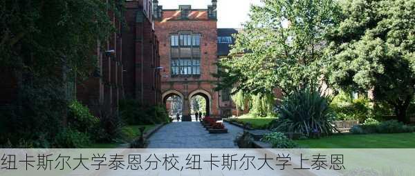 纽卡斯尔大学泰恩分校,纽卡斯尔大学上泰恩