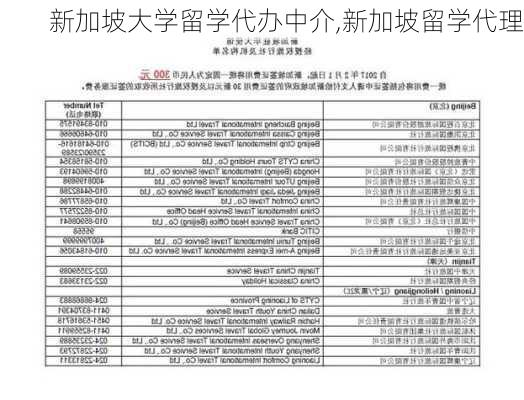 新加坡大学留学代办中介,新加坡留学代理