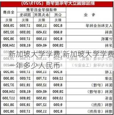 新加坡大学学费,新加坡大学学费一年多少人民币