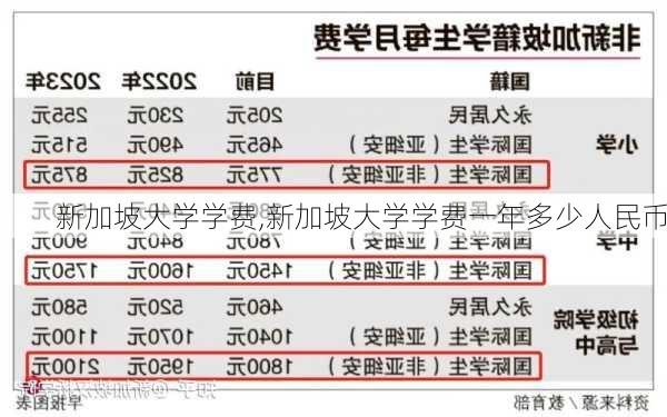 新加坡大学学费,新加坡大学学费一年多少人民币