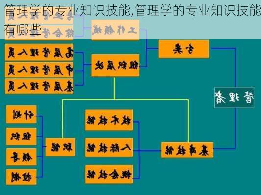 管理学的专业知识技能,管理学的专业知识技能有哪些