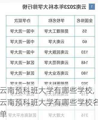 云南预科班大学有哪些学校,云南预科班大学有哪些学校名单