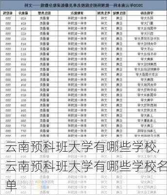 云南预科班大学有哪些学校,云南预科班大学有哪些学校名单