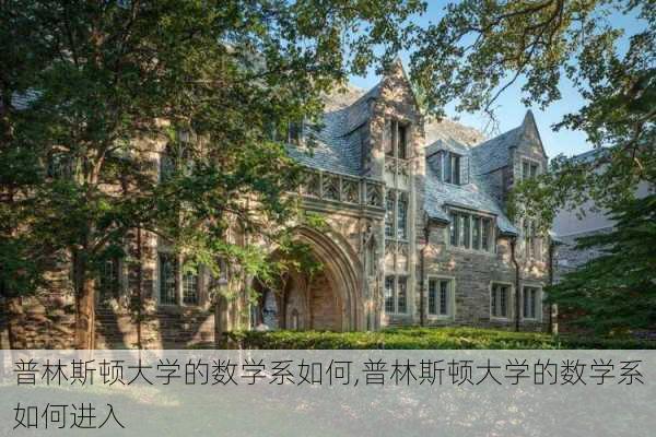 普林斯顿大学的数学系如何,普林斯顿大学的数学系如何进入