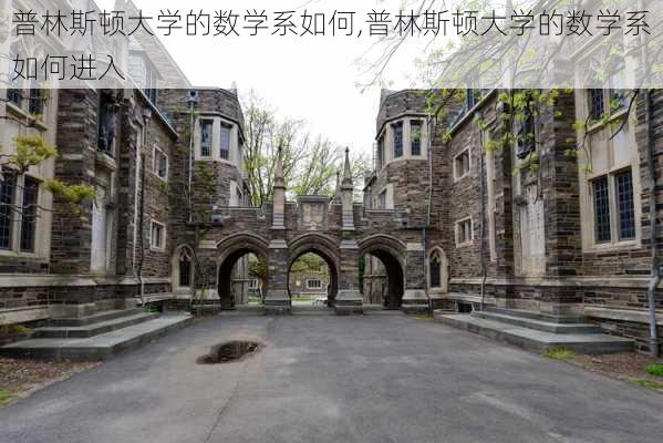 普林斯顿大学的数学系如何,普林斯顿大学的数学系如何进入