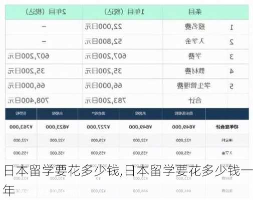 日本留学要花多少钱,日本留学要花多少钱一年