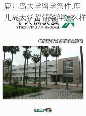 鹿儿岛大学留学条件,鹿儿岛大学留学条件怎么样