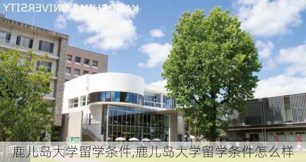 鹿儿岛大学留学条件,鹿儿岛大学留学条件怎么样