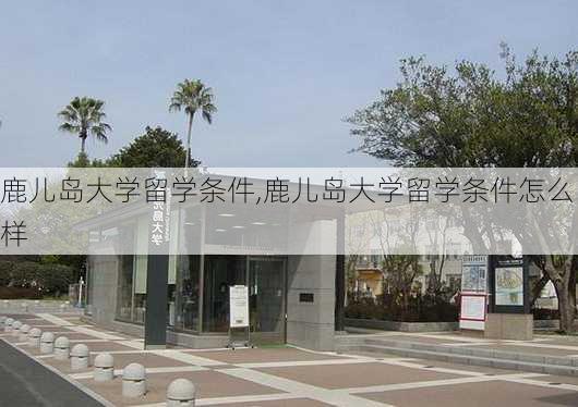 鹿儿岛大学留学条件,鹿儿岛大学留学条件怎么样