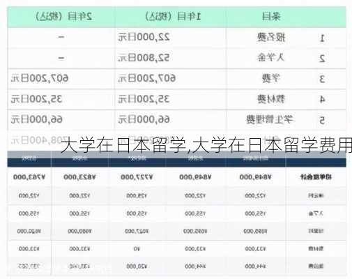 大学在日本留学,大学在日本留学费用