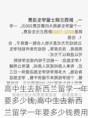 高中生去新西兰留学一年要多少钱,高中生去新西兰留学一年要多少钱费用