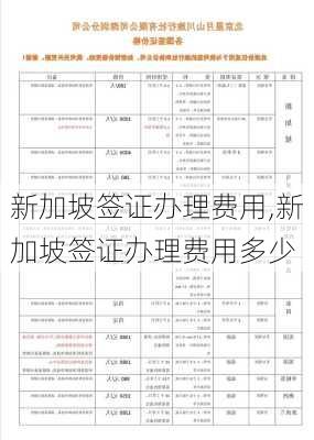 新加坡签证办理费用,新加坡签证办理费用多少