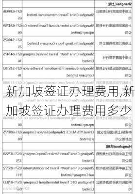 新加坡签证办理费用,新加坡签证办理费用多少