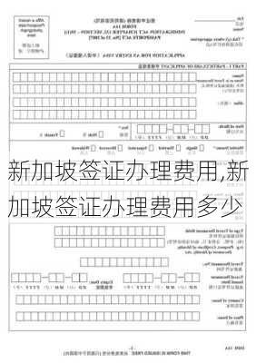 新加坡签证办理费用,新加坡签证办理费用多少