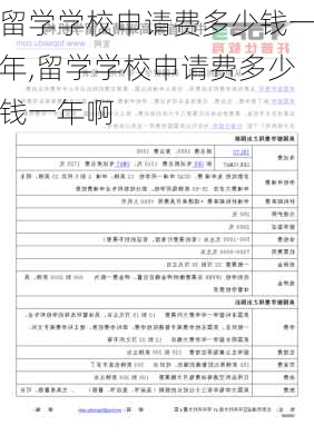 留学学校申请费多少钱一年,留学学校申请费多少钱一年啊