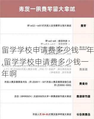 留学学校申请费多少钱一年,留学学校申请费多少钱一年啊