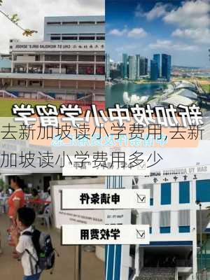 去新加坡读小学费用,去新加坡读小学费用多少