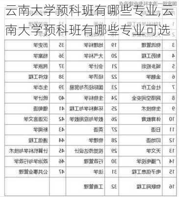 云南大学预科班有哪些专业,云南大学预科班有哪些专业可选