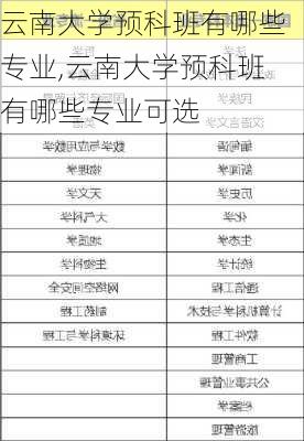 云南大学预科班有哪些专业,云南大学预科班有哪些专业可选