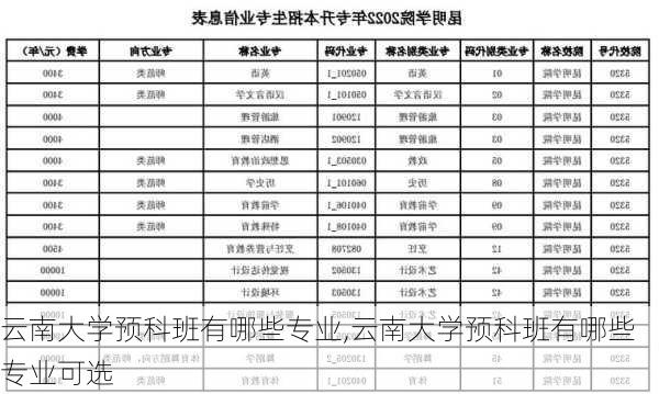 云南大学预科班有哪些专业,云南大学预科班有哪些专业可选