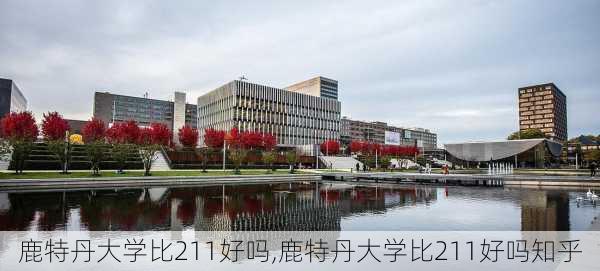 鹿特丹大学比211好吗,鹿特丹大学比211好吗知乎