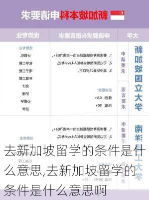 去新加坡留学的条件是什么意思,去新加坡留学的条件是什么意思啊