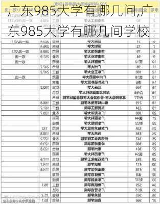 广东985大学有哪几间,广东985大学有哪几间学校