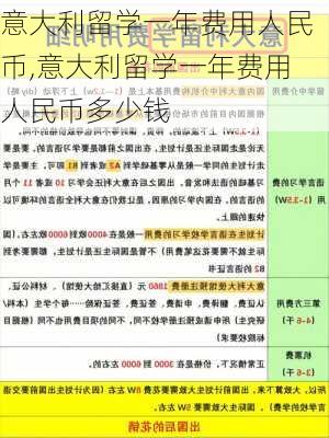 意大利留学一年费用人民币,意大利留学一年费用人民币多少钱