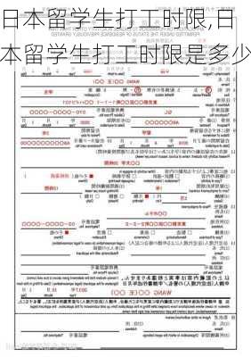 日本留学生打工时限,日本留学生打工时限是多少