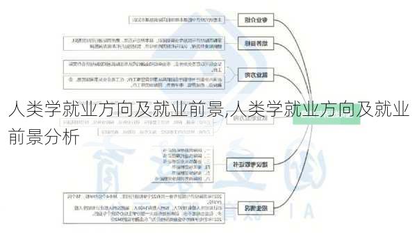 人类学就业方向及就业前景,人类学就业方向及就业前景分析