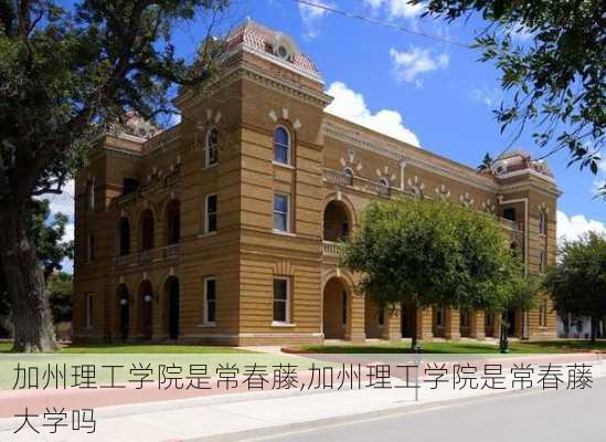 加州理工学院是常春藤,加州理工学院是常春藤大学吗