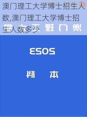 澳门理工大学博士招生人数,澳门理工大学博士招生人数多少