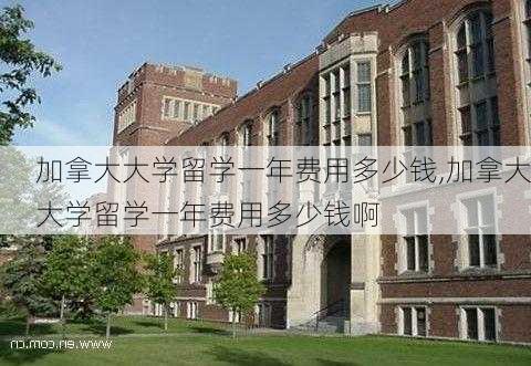 加拿大大学留学一年费用多少钱,加拿大大学留学一年费用多少钱啊