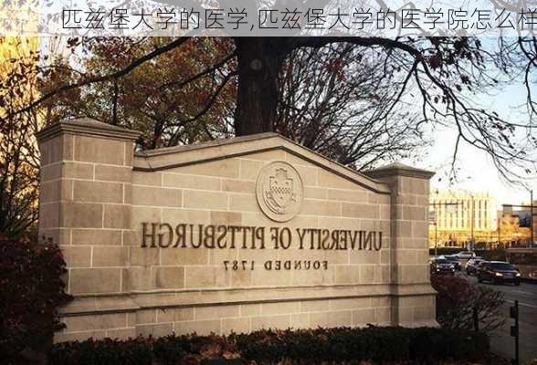 匹兹堡大学的医学,匹兹堡大学的医学院怎么样