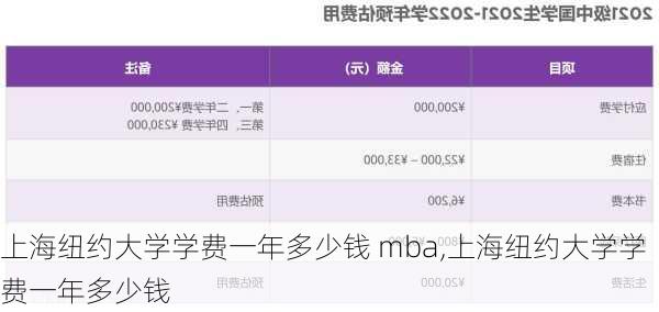 上海纽约大学学费一年多少钱 mba,上海纽约大学学费一年多少钱