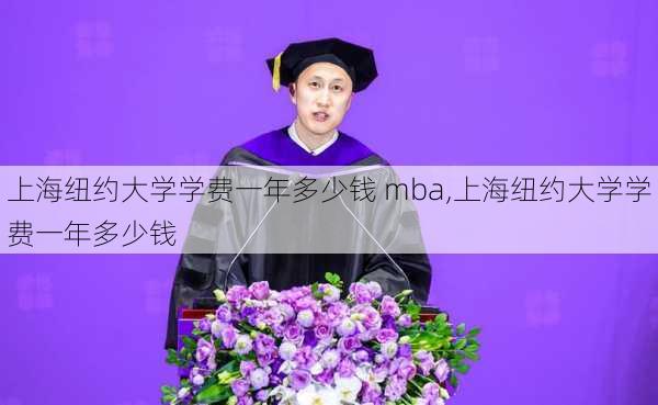 上海纽约大学学费一年多少钱 mba,上海纽约大学学费一年多少钱