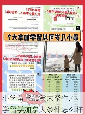 小学留学加拿大条件,小学留学加拿大条件怎么样