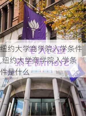 纽约大学商学院入学条件,纽约大学商学院入学条件是什么