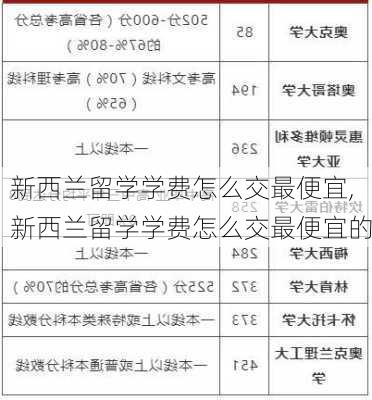 新西兰留学学费怎么交最便宜,新西兰留学学费怎么交最便宜的