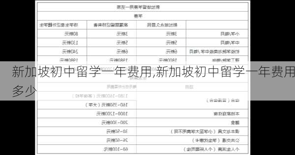 新加坡初中留学一年费用,新加坡初中留学一年费用多少